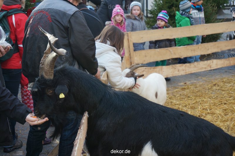 weihnachtsmaerkte-2013-wuppertal-elberfeld-tag-040