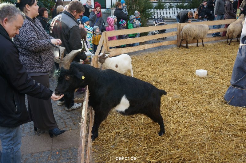 weihnachtsmaerkte-2013-wuppertal-elberfeld-tag-043
