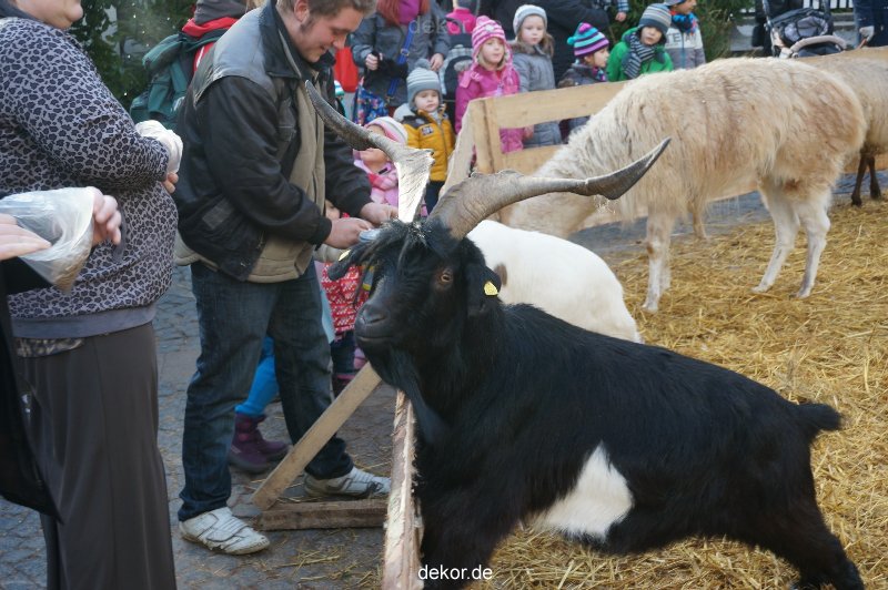weihnachtsmaerkte-2013-wuppertal-elberfeld-tag-044