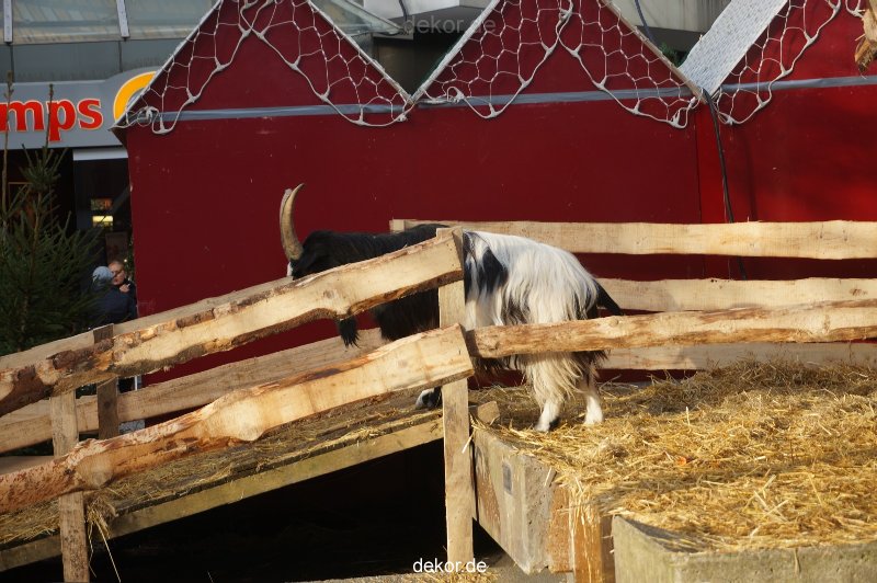 weihnachtsmaerkte-2013-wuppertal-elberfeld-tag-047