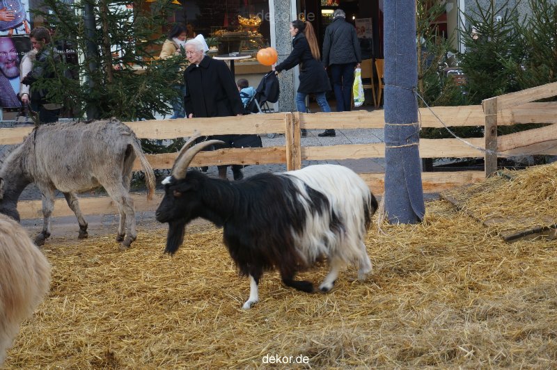 weihnachtsmaerkte-2013-wuppertal-elberfeld-tag-048