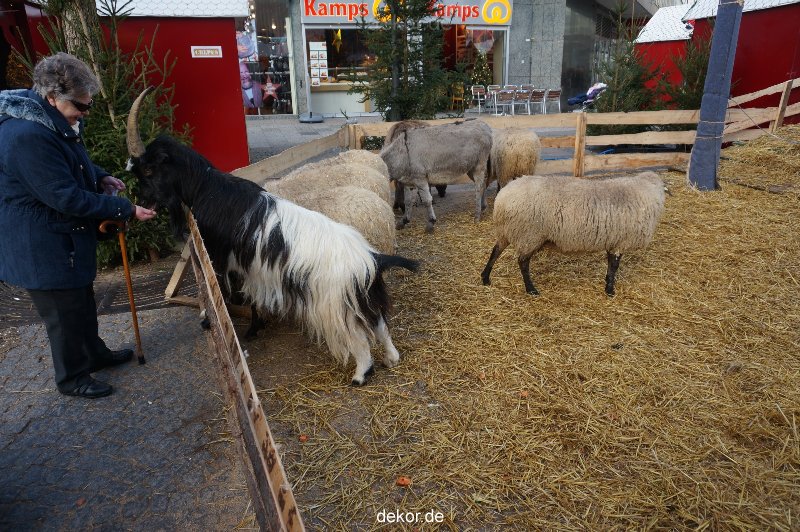 weihnachtsmaerkte-2013-wuppertal-elberfeld-tag-056
