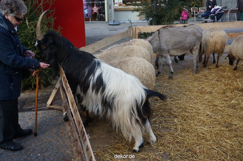 weihnachtsmaerkte-2013-wuppertal-elberfeld-tag-057