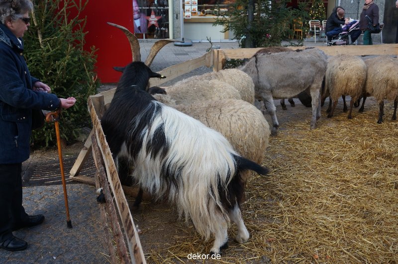 weihnachtsmaerkte-2013-wuppertal-elberfeld-tag-058