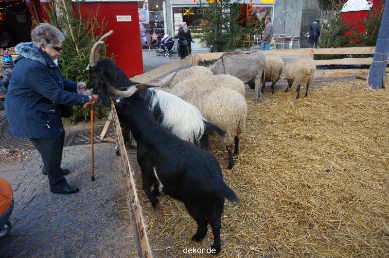 weihnachtsmaerkte-2013-wuppertal-elberfeld-tag-059