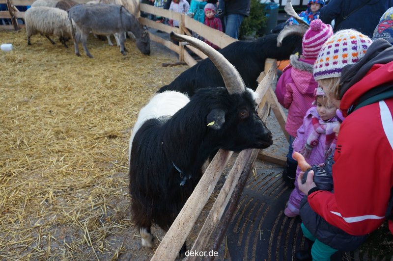 weihnachtsmaerkte-2013-wuppertal-elberfeld-tag-066