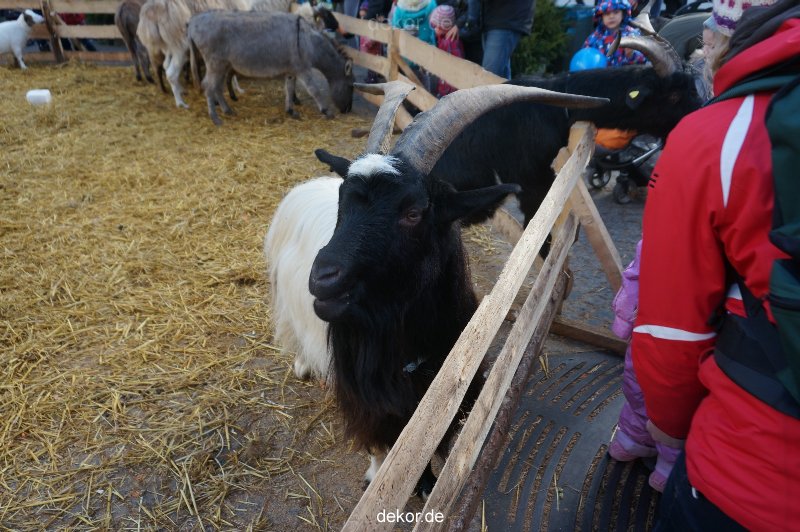 weihnachtsmaerkte-2013-wuppertal-elberfeld-tag-071