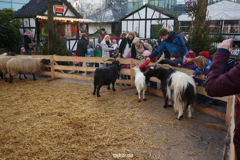 weihnachtsmaerkte-2013-wuppertal-elberfeld-tag-074