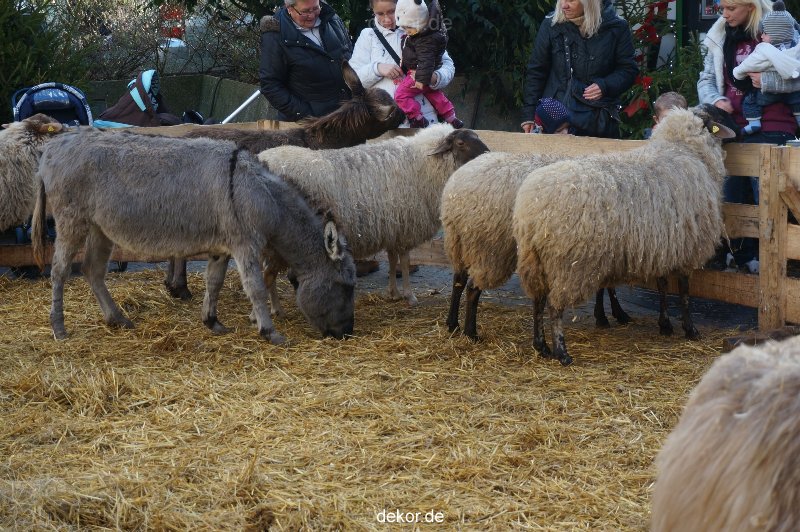 weihnachtsmaerkte-2013-wuppertal-elberfeld-tag-079