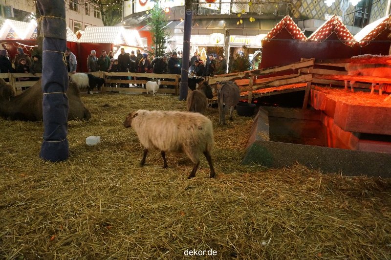 weihnachtsmaerkte-2013-wuppertal-elberfeld-030