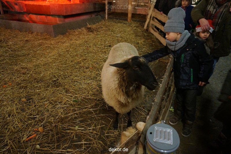 weihnachtsmaerkte-2013-wuppertal-elberfeld-032