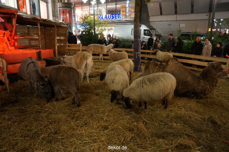 weihnachtsmaerkte-2013-wuppertal-elberfeld-040