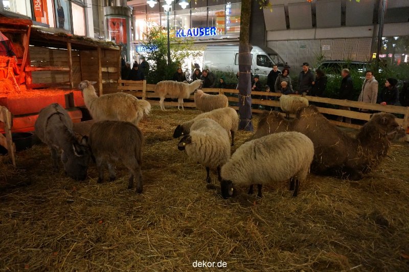 weihnachtsmaerkte-2013-wuppertal-elberfeld-041