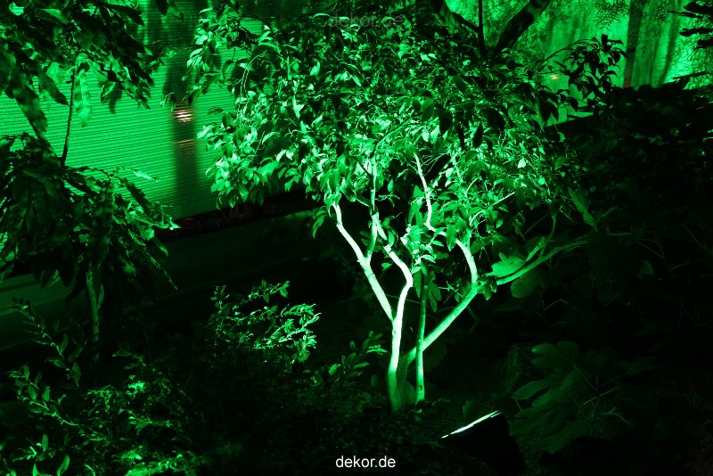 wuppertal-24h-live-2010-hardt-botanischer-garten-020