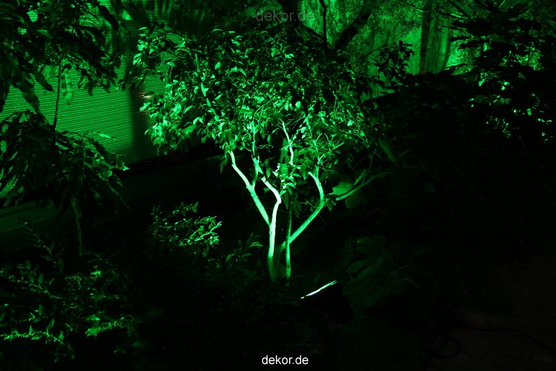 wuppertal-24h-live-2010-hardt-botanischer-garten-021