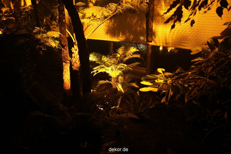 wuppertal-24h-live-2010-hardt-botanischer-garten-028