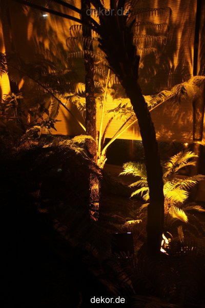 wuppertal-24h-live-2010-hardt-botanischer-garten-030