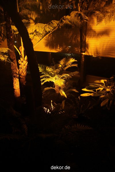 wuppertal-24h-live-2010-hardt-botanischer-garten-031