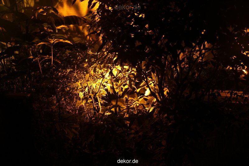 wuppertal-24h-live-2010-hardt-botanischer-garten-032