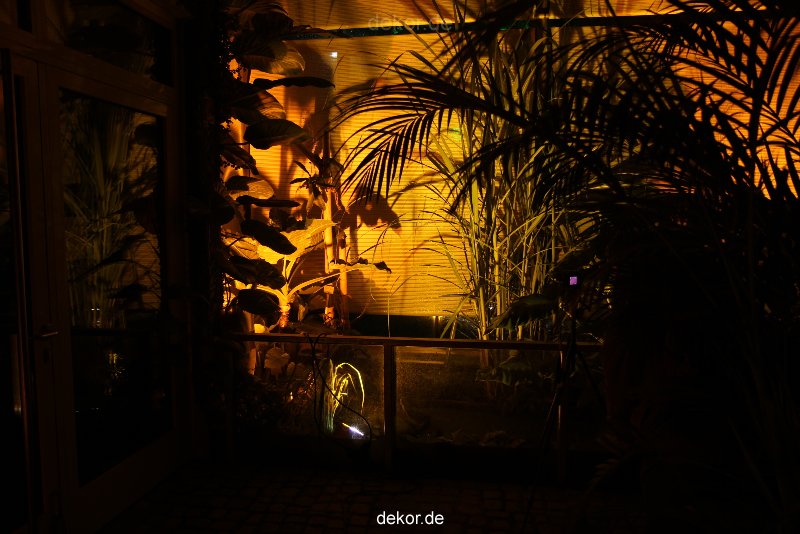 wuppertal-24h-live-2010-hardt-botanischer-garten-035