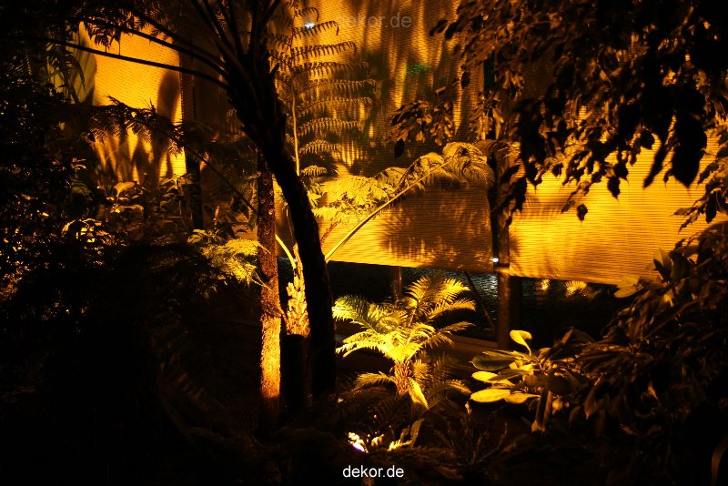 wuppertal-24h-live-2010-hardt-botanischer-garten-036