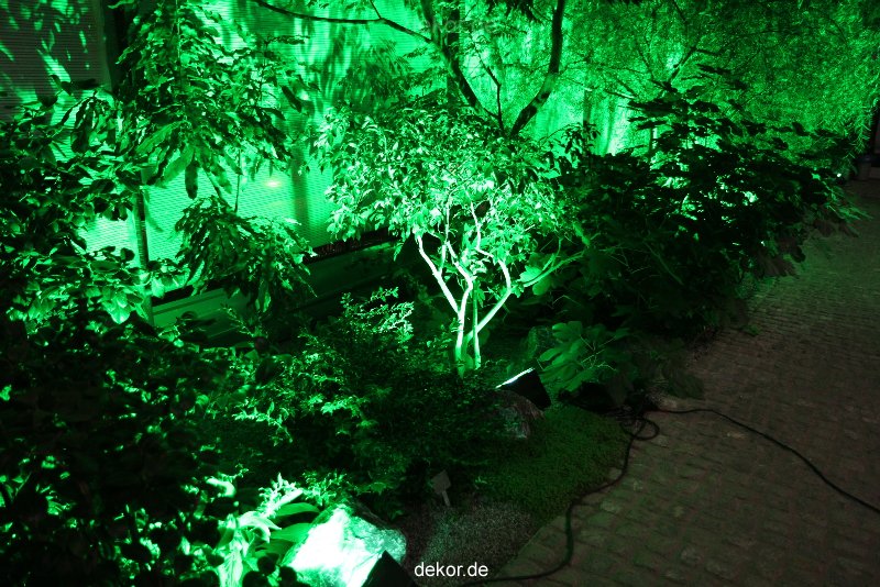 wuppertal-24h-live-2010-hardt-botanischer-garten-039