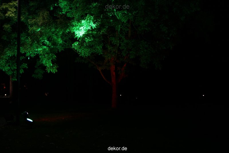 wuppertal-24h-live-2010-hardt-botanischer-garten-047