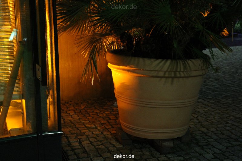 wuppertal-24h-live-2010-hardt-botanischer-garten-068