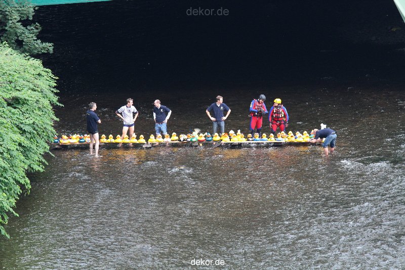 wuppertal-e400-islandufer-entenrennen1-005