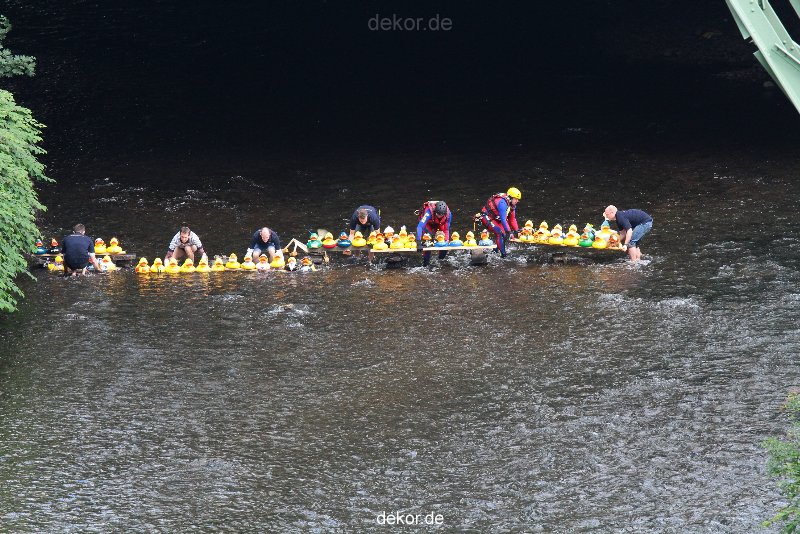 wuppertal-e400-islandufer-entenrennen1-011
