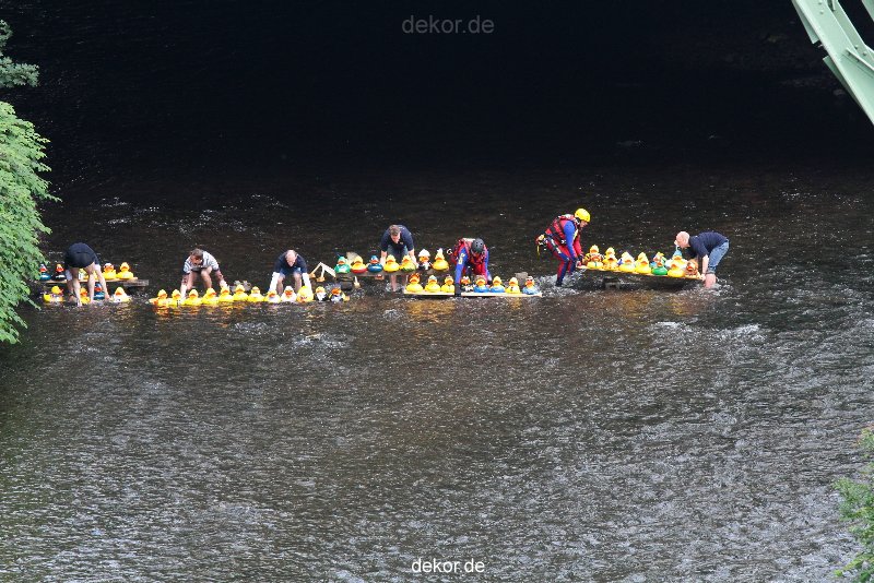 wuppertal-e400-islandufer-entenrennen1-013