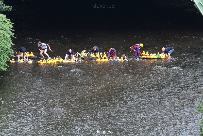 wuppertal-e400-islandufer-entenrennen1-015