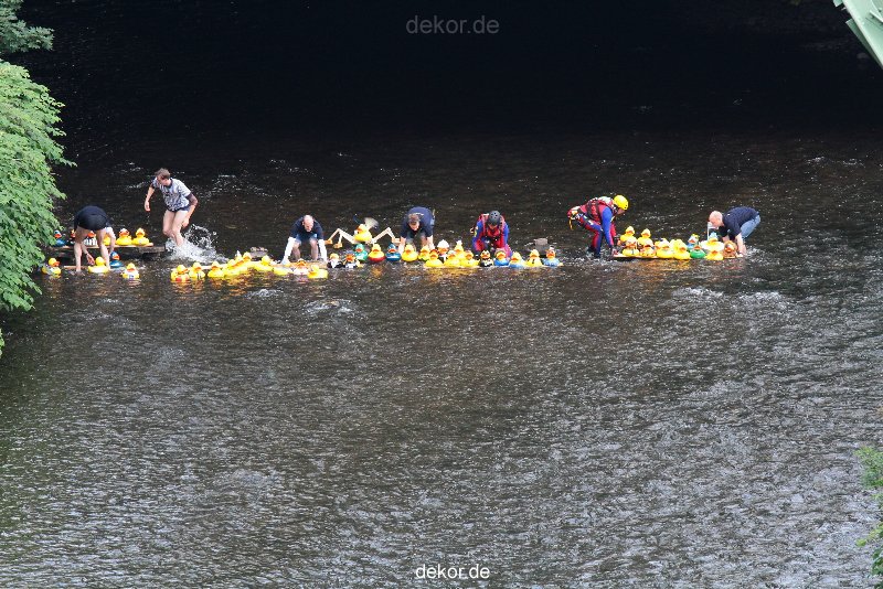 wuppertal-e400-islandufer-entenrennen1-016