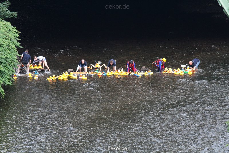 wuppertal-e400-islandufer-entenrennen1-019