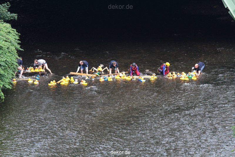 wuppertal-e400-islandufer-entenrennen1-021