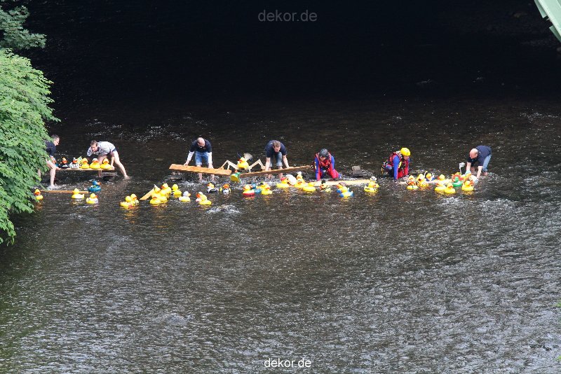 wuppertal-e400-islandufer-entenrennen1-022