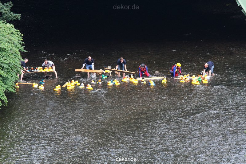 wuppertal-e400-islandufer-entenrennen1-023