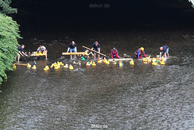 wuppertal-e400-islandufer-entenrennen1-024
