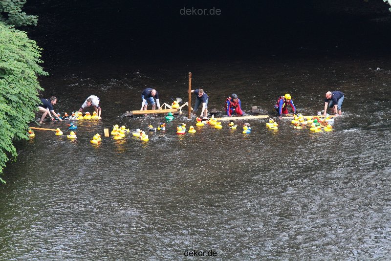 wuppertal-e400-islandufer-entenrennen1-026