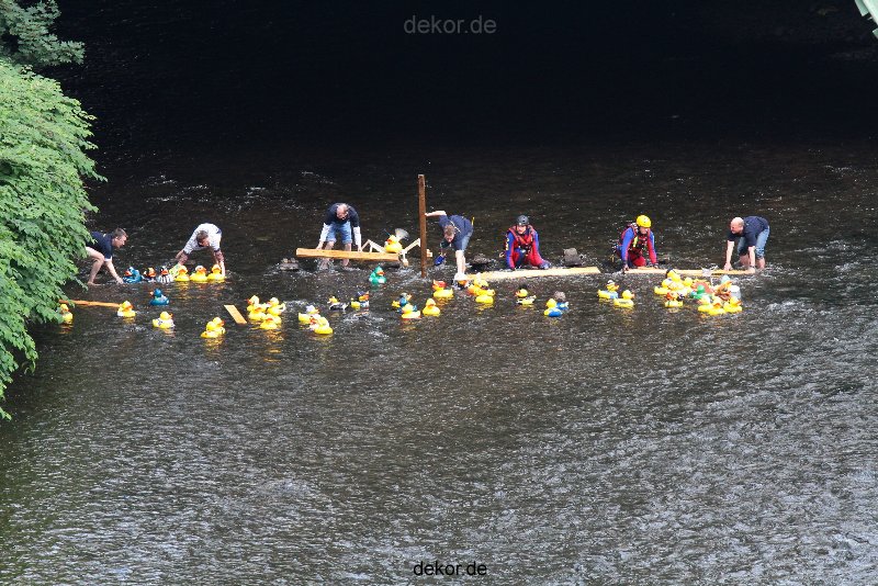 wuppertal-e400-islandufer-entenrennen1-028