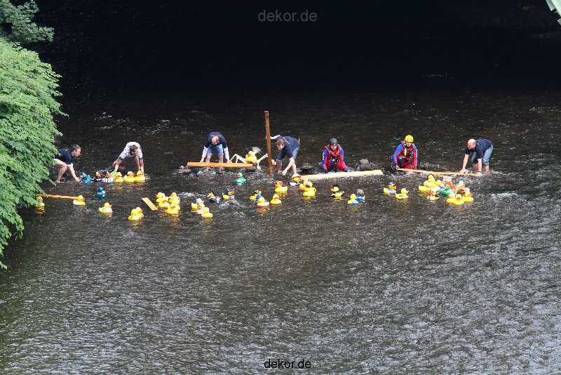 wuppertal-e400-islandufer-entenrennen1-029