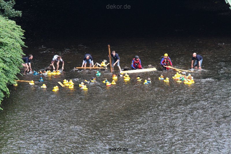 wuppertal-e400-islandufer-entenrennen1-030