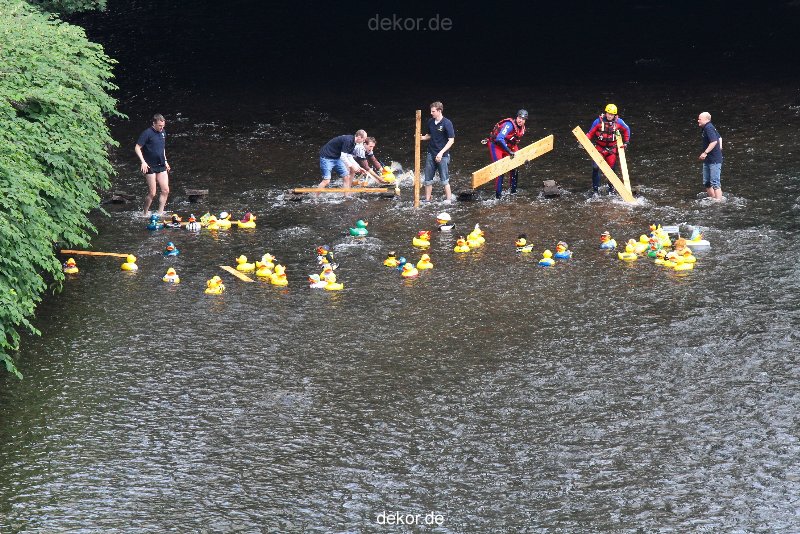 wuppertal-e400-islandufer-entenrennen1-036