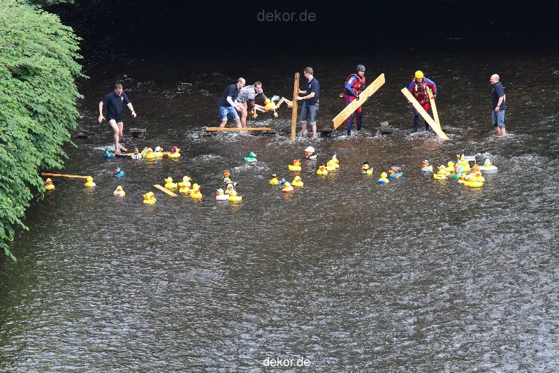 wuppertal-e400-islandufer-entenrennen1-037