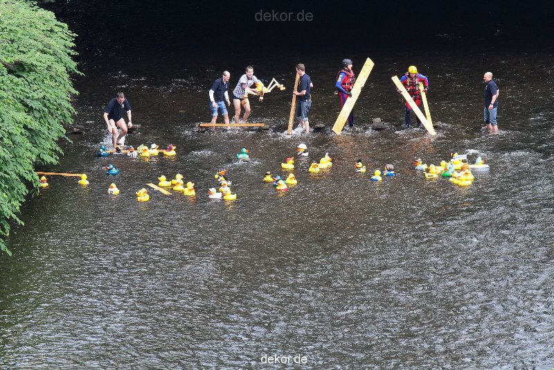 wuppertal-e400-islandufer-entenrennen1-038