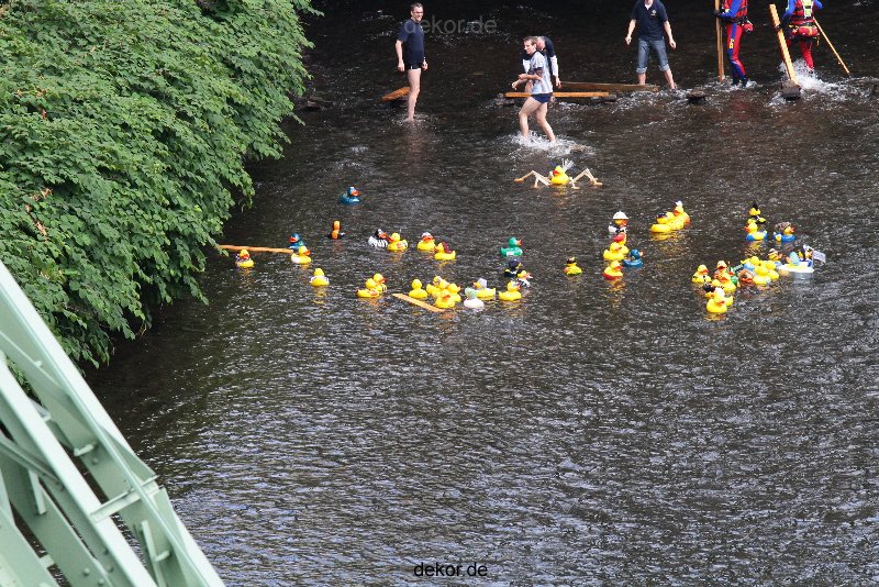 wuppertal-e400-islandufer-entenrennen1-050