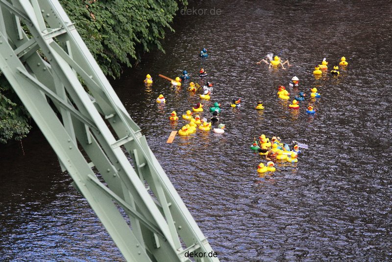 wuppertal-e400-islandufer-entenrennen1-056