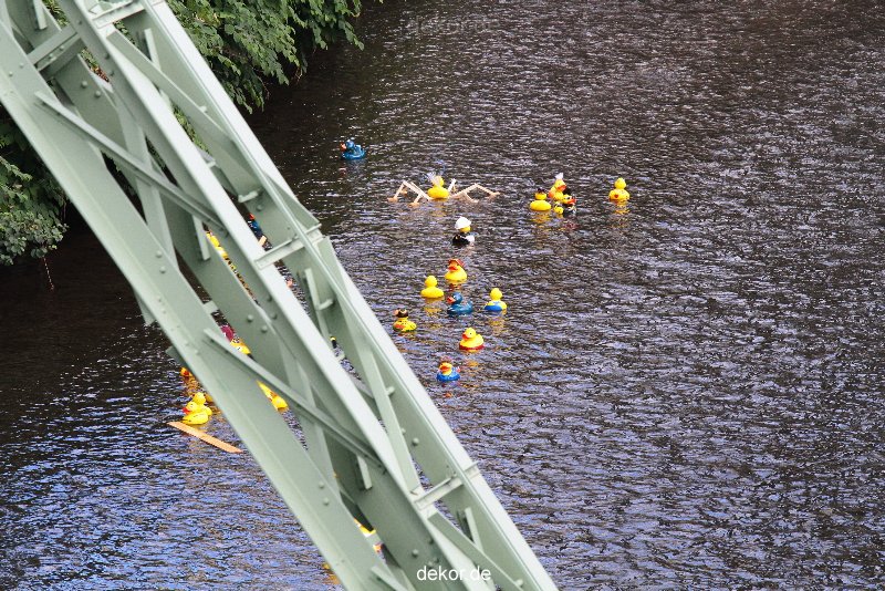 wuppertal-e400-islandufer-entenrennen1-057