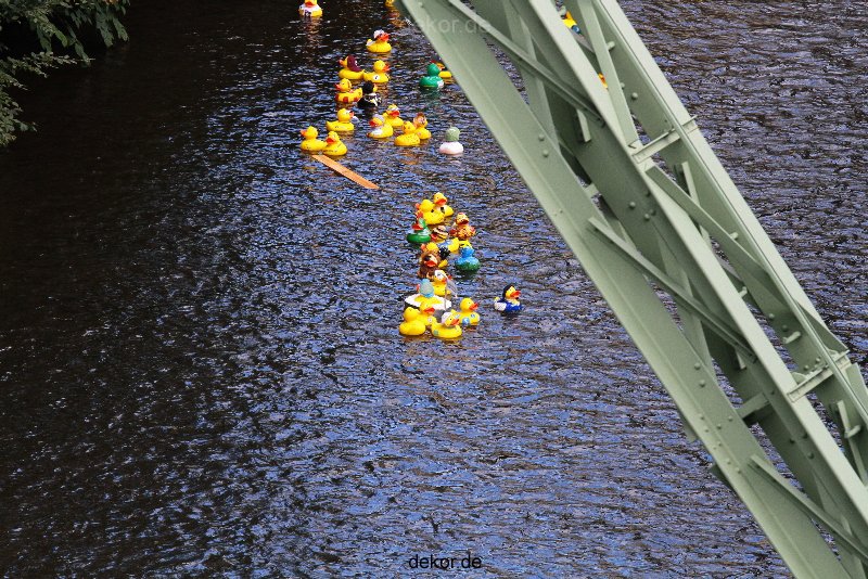 wuppertal-e400-islandufer-entenrennen1-058