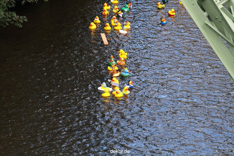 wuppertal-e400-islandufer-entenrennen1-060